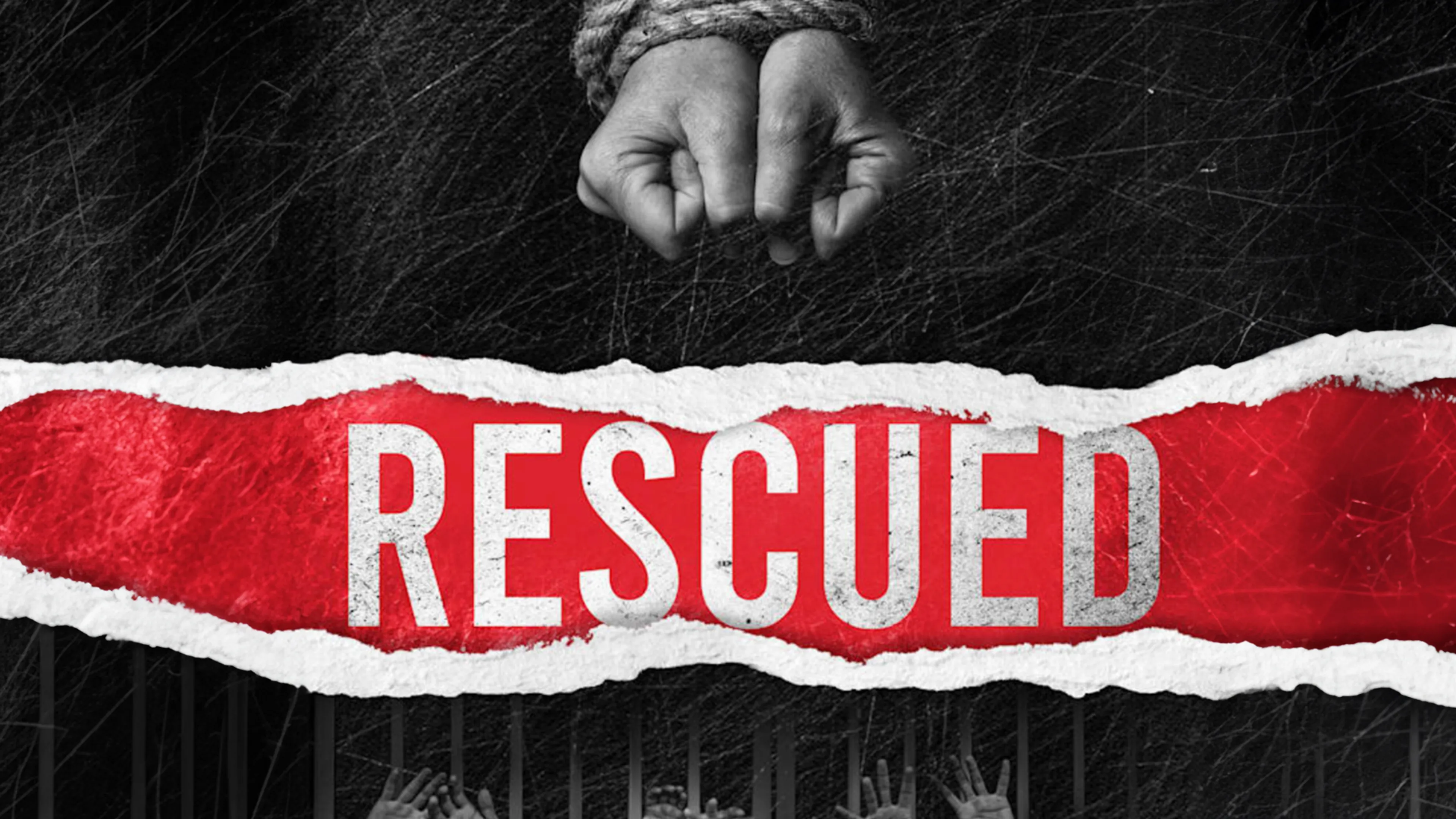 Rescued poster